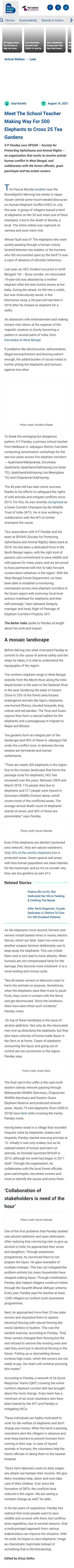 Full News Screenshot