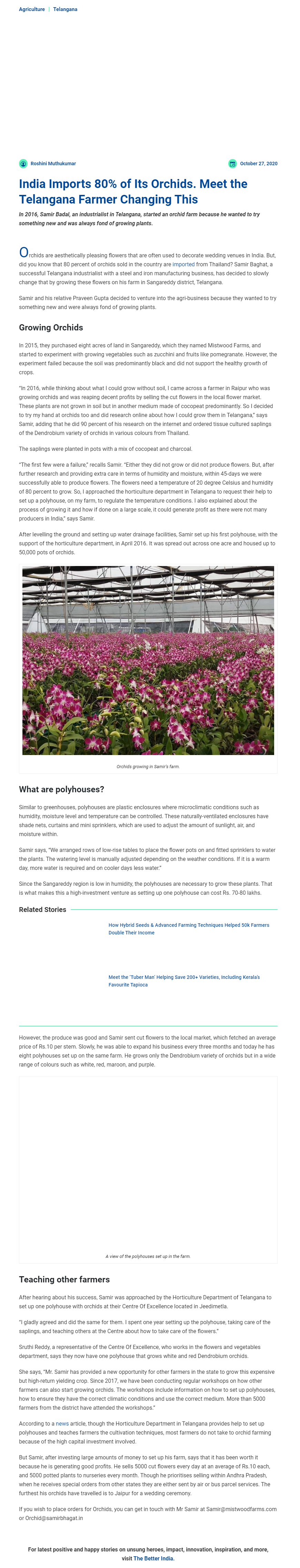 Full News Screenshot