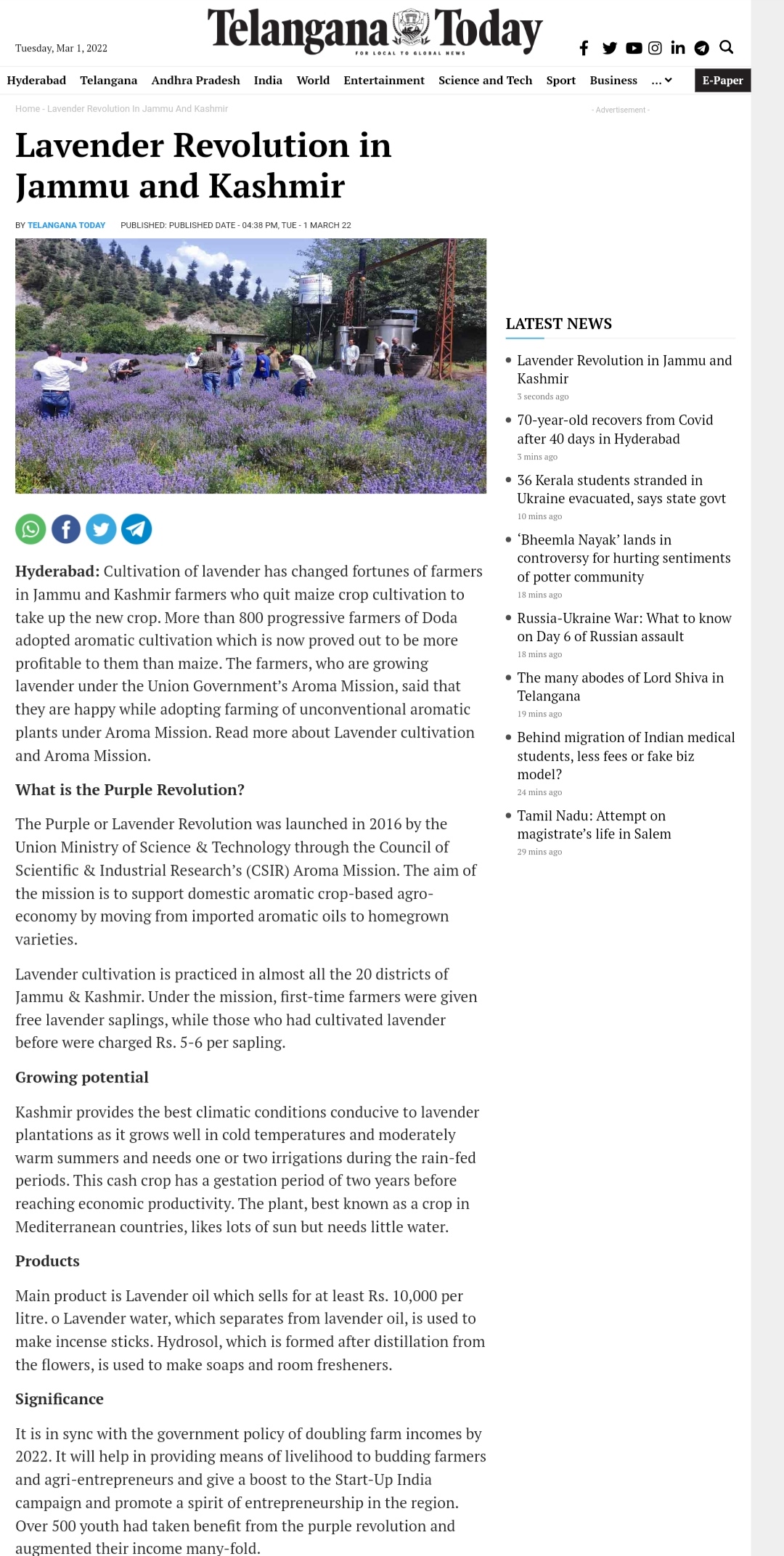 Full News Screenshot