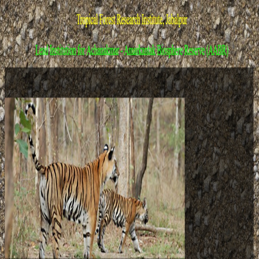 Front Page Screenshot