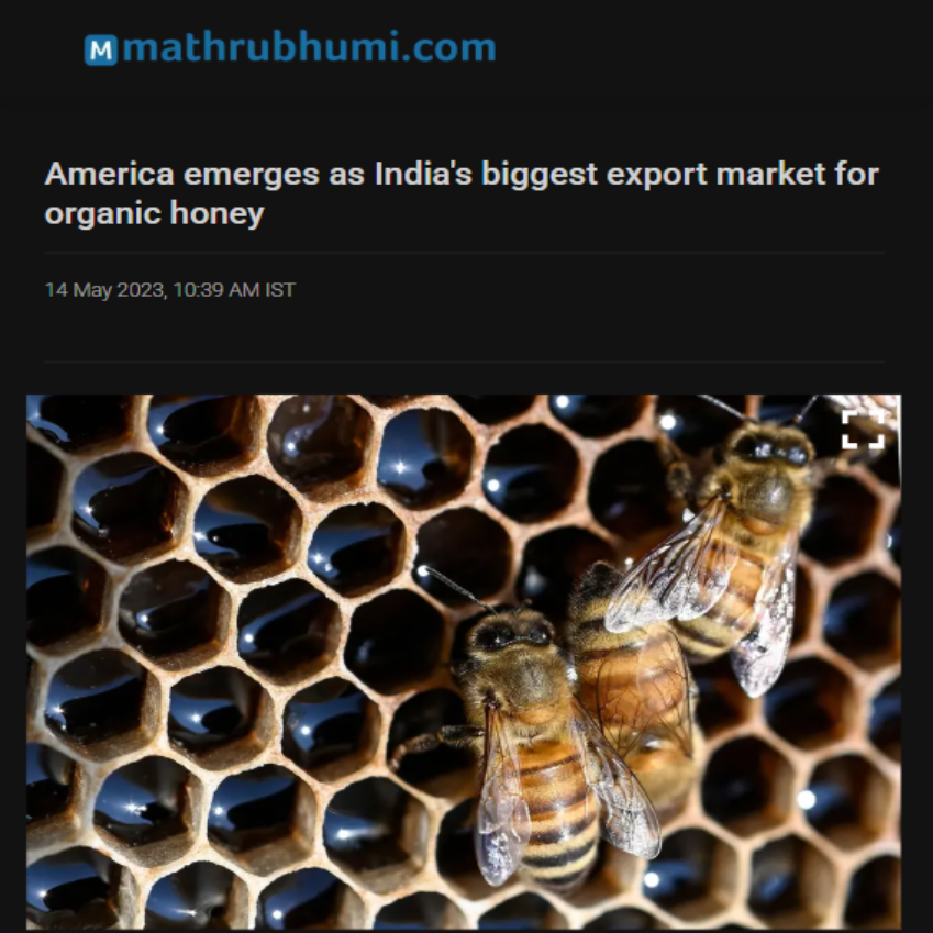 Front Page Screenshot