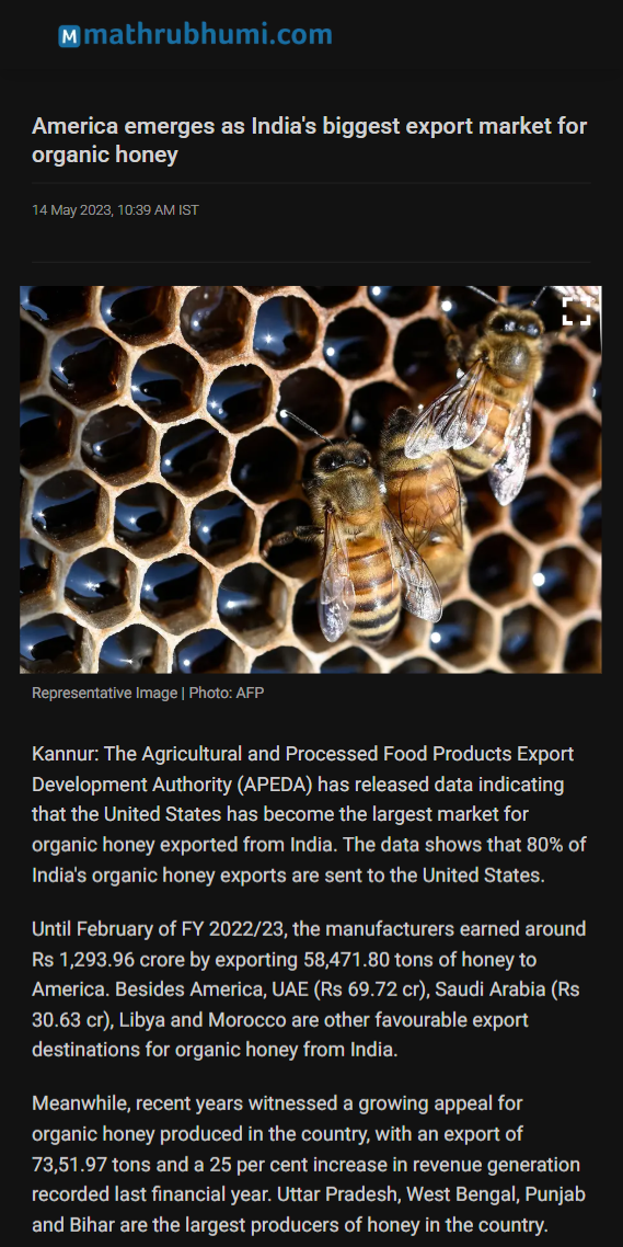 Full News Screenshot